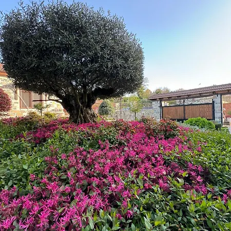 Βίλα Vila Belkiss